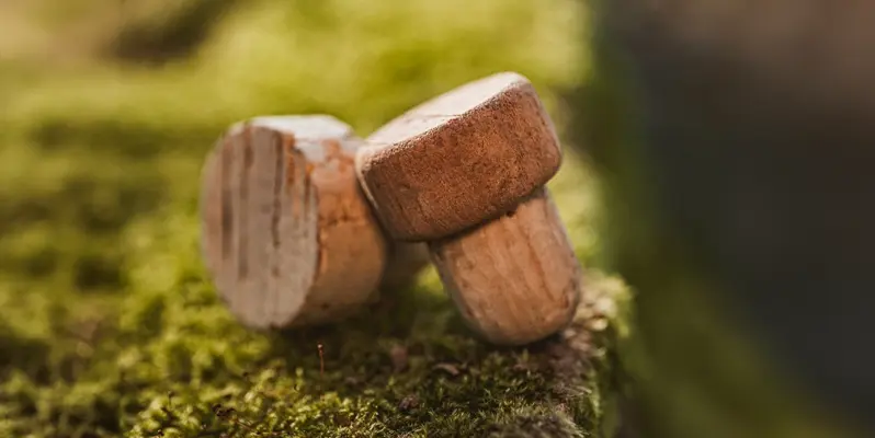 Bar stops sitting on a tree